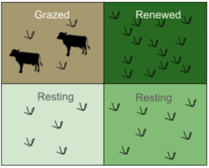 Rest Rotation Duration Grazing System Examples Regenerative Agriculture