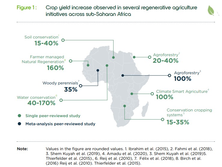 Crop yield increases - regenerative agriculture africa
