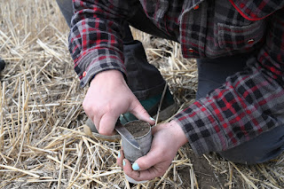 soil sampling - regenerative agriculture washington state
